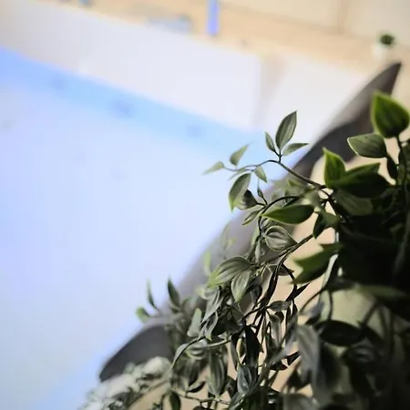 Pacat Insolite Jacuzzi Parkingfree Centre A 5min * Mulhouse