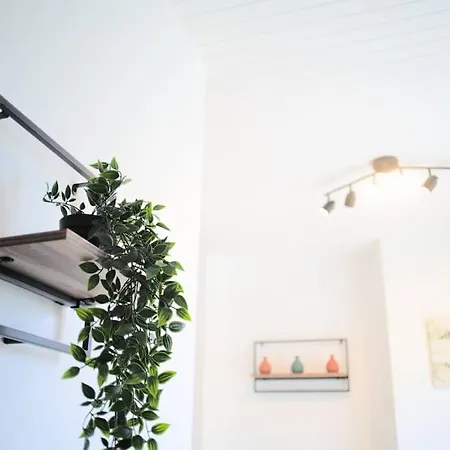 Pacat Insolite Jacuzzi Parkingfree Centre A 5min Lejlighed *