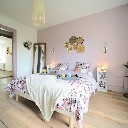 Apartamento Pacat Insolite Jacuzzi Parkingfree Centre A 5min Mulhouse