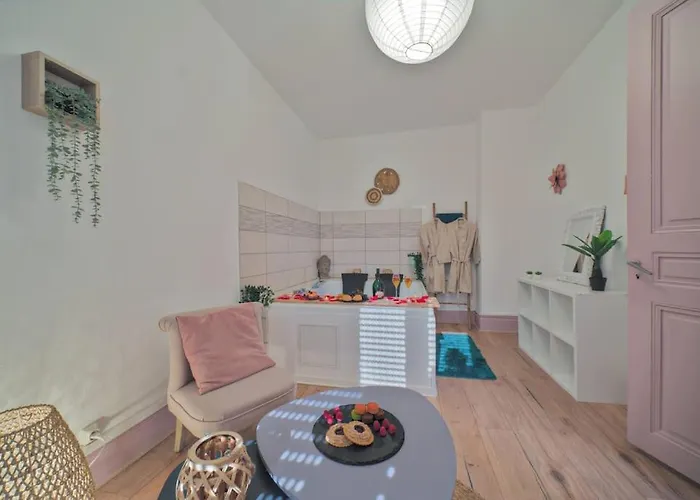 Appartement Pacat Insolite Jacuzzi Parkingfree Centre A 5min *