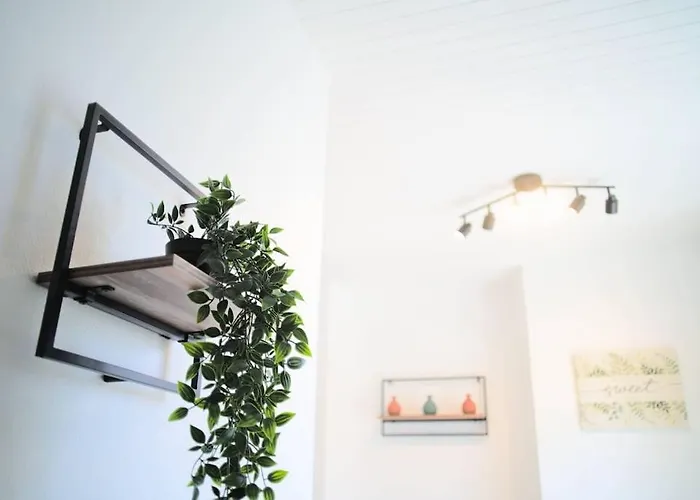 Pacat Insolite Jacuzzi Parkingfree Centre A 5min Lägenhet *