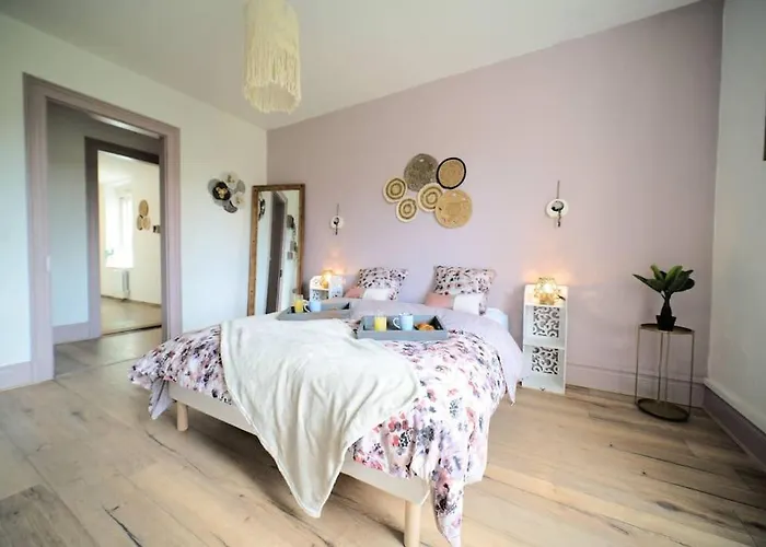 Appartement Pacat Insolite Jacuzzi Parkingfree Centre A 5min Mulhouse